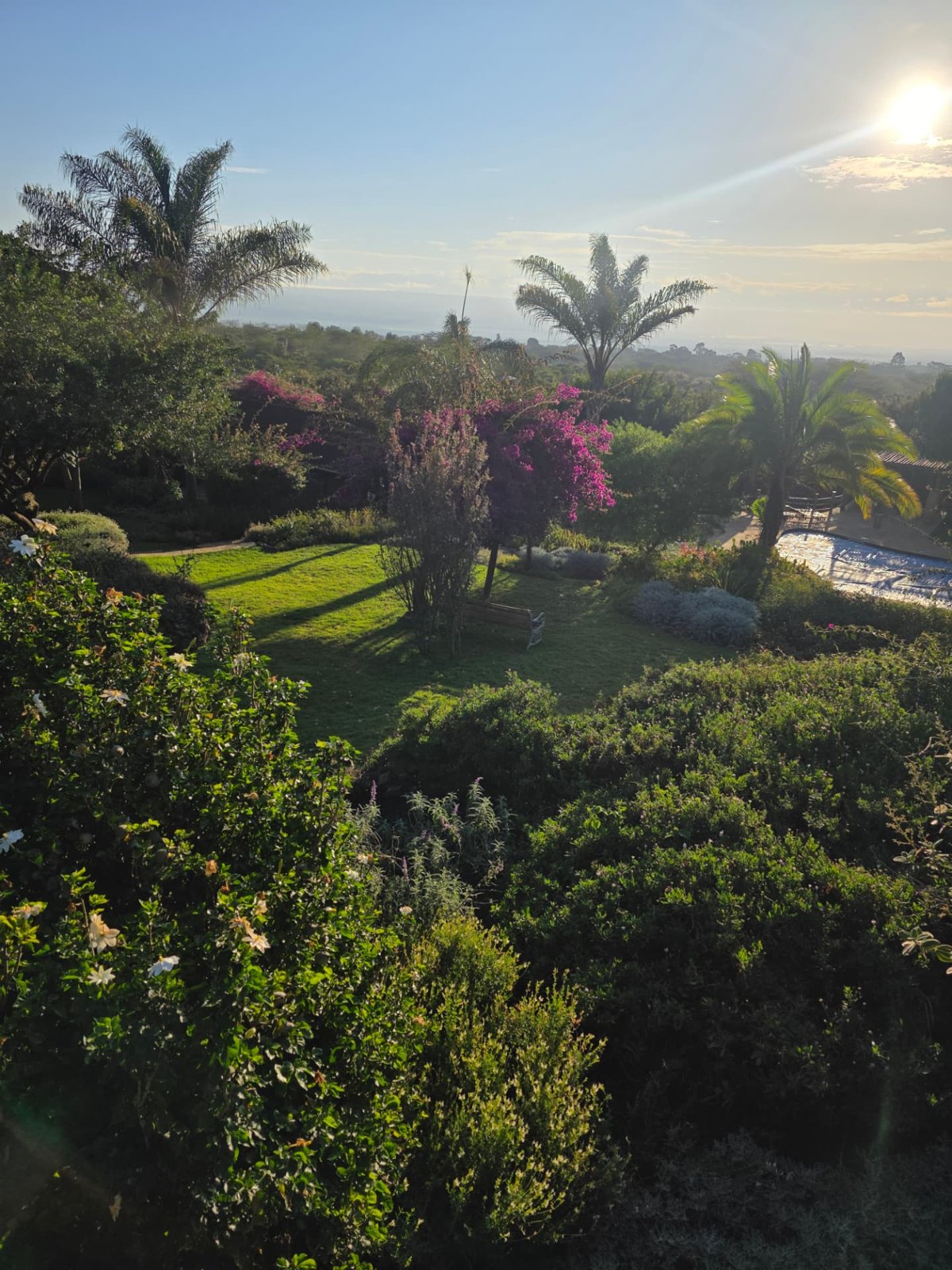 A garden view to start the day