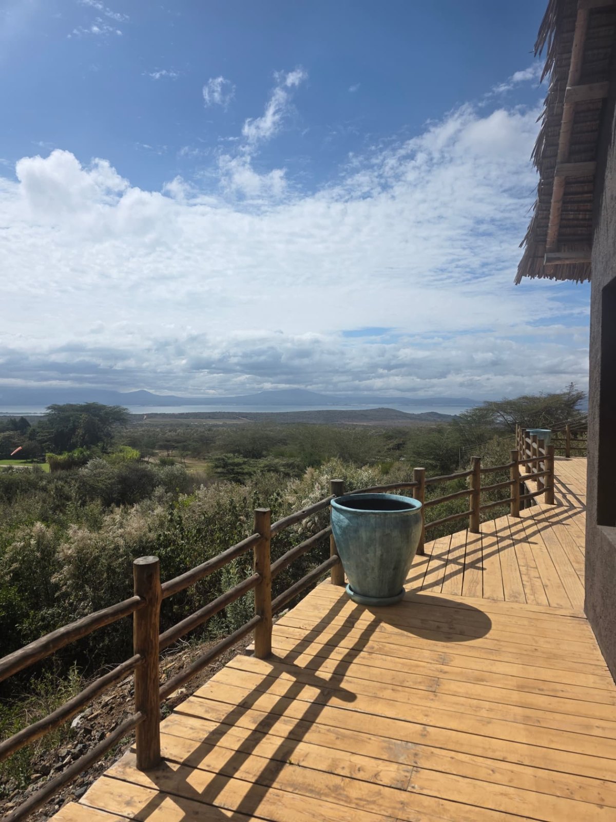 A quiet view from the terrace